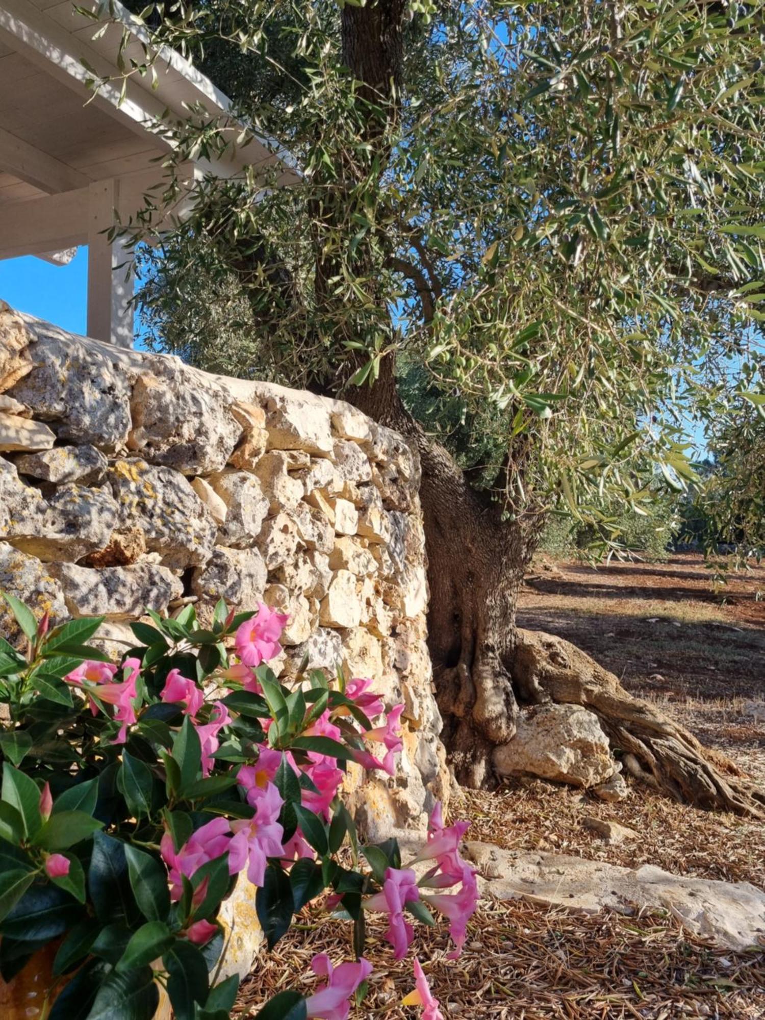 Trulli Di Spinaruta Bed and Breakfast Grottaglie Buitenkant foto