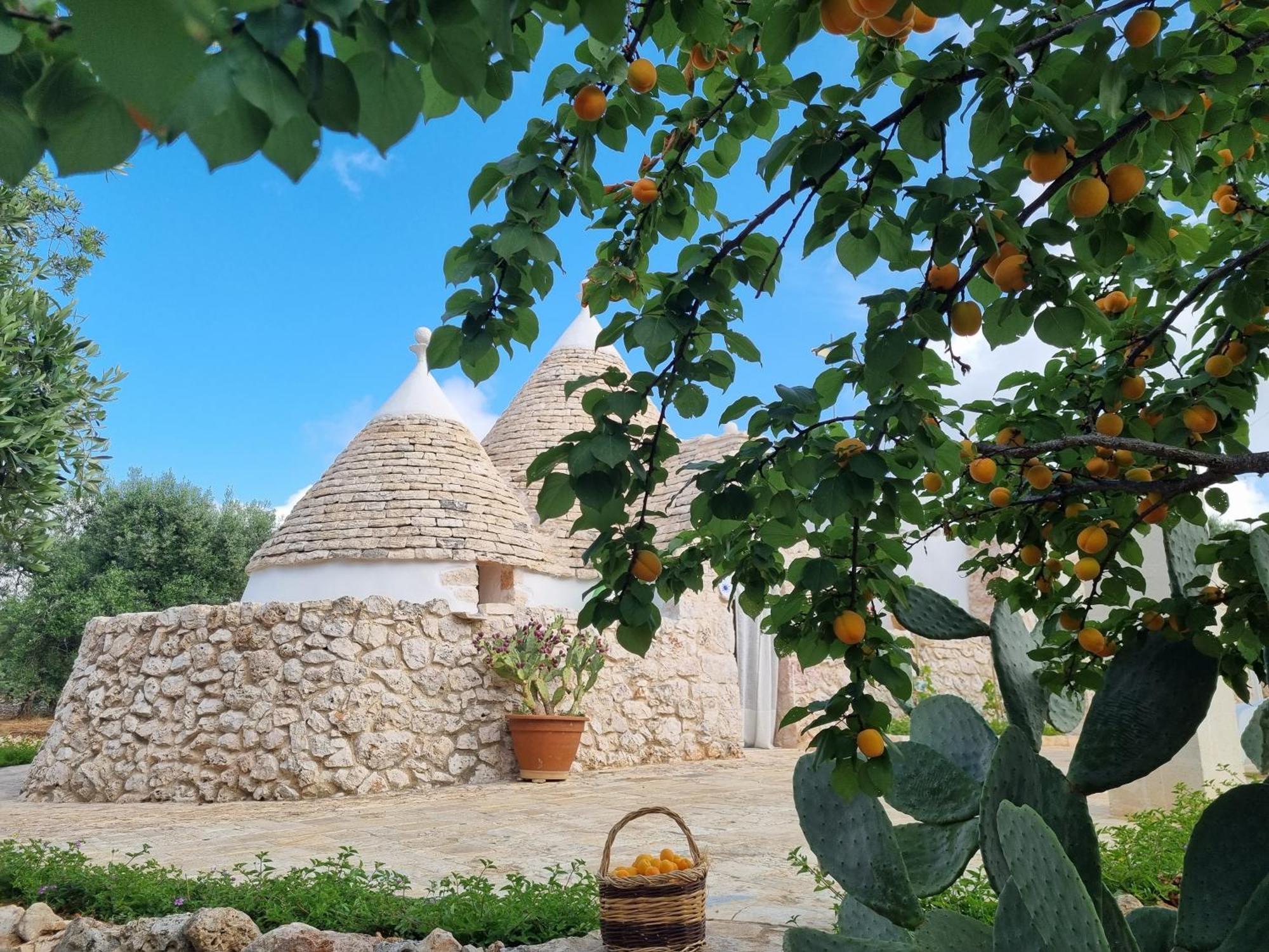Trulli Di Spinaruta Bed and Breakfast Grottaglie Buitenkant foto